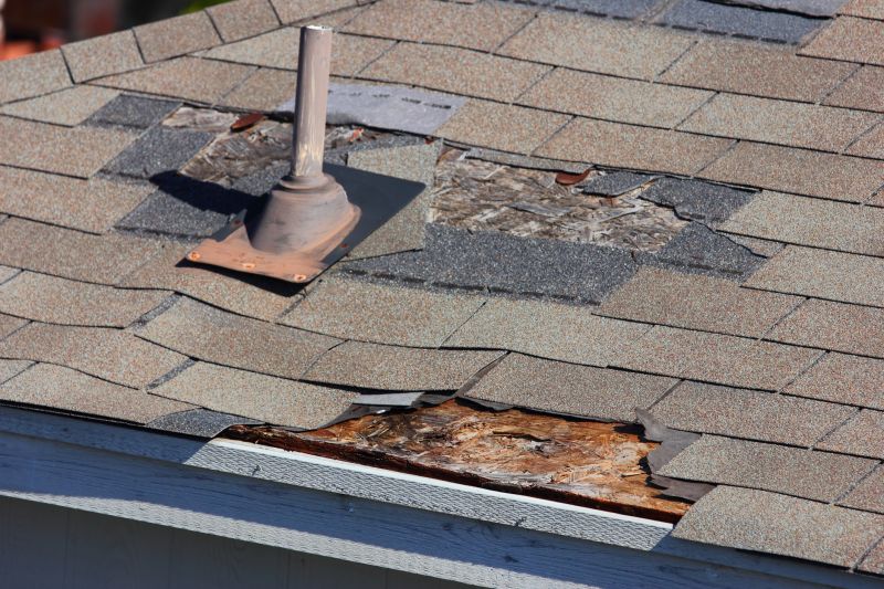 Full Roof Section Repair
