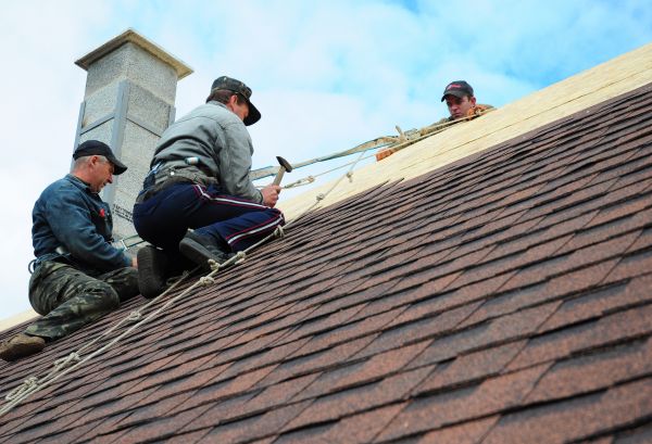Shingle Roof Repair